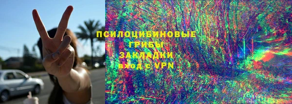 гашик Кодинск