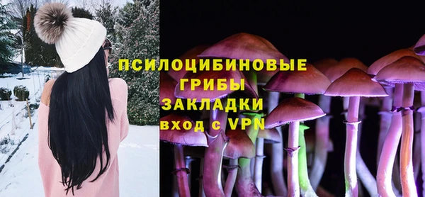 молекула духа Алзамай