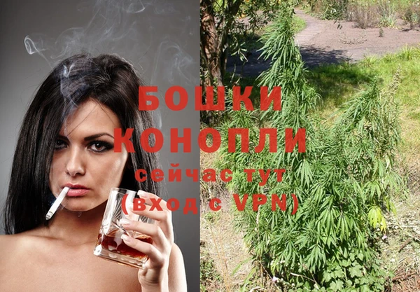 молекула духа Алексеевка