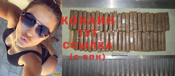 гашик Кодинск