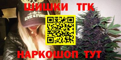 индика Нягань