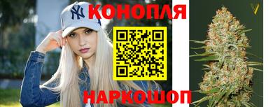 spice Обь