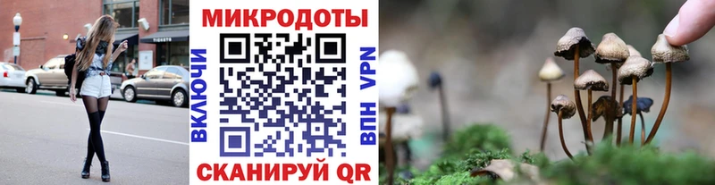 Галлюциногенные грибы мухоморы Чусовой