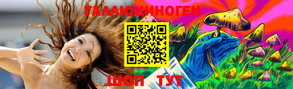 Псилоцибиновые грибы Psilocybe Чусовой